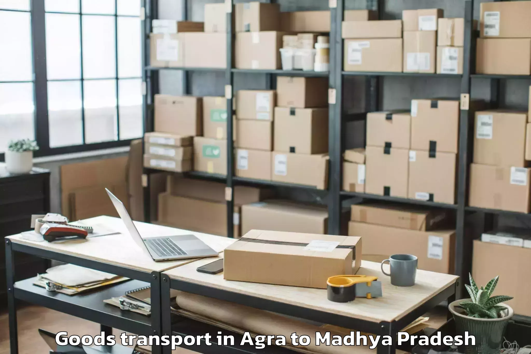 Top Agra to Jabera Goods Transport Available